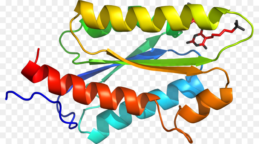 Heliks Protein，Molekul PNG