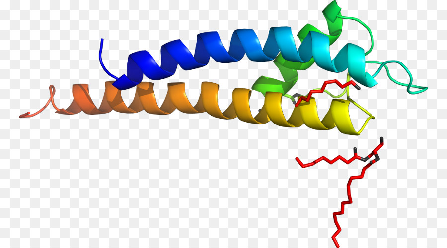 Heliks Protein，Molekul PNG