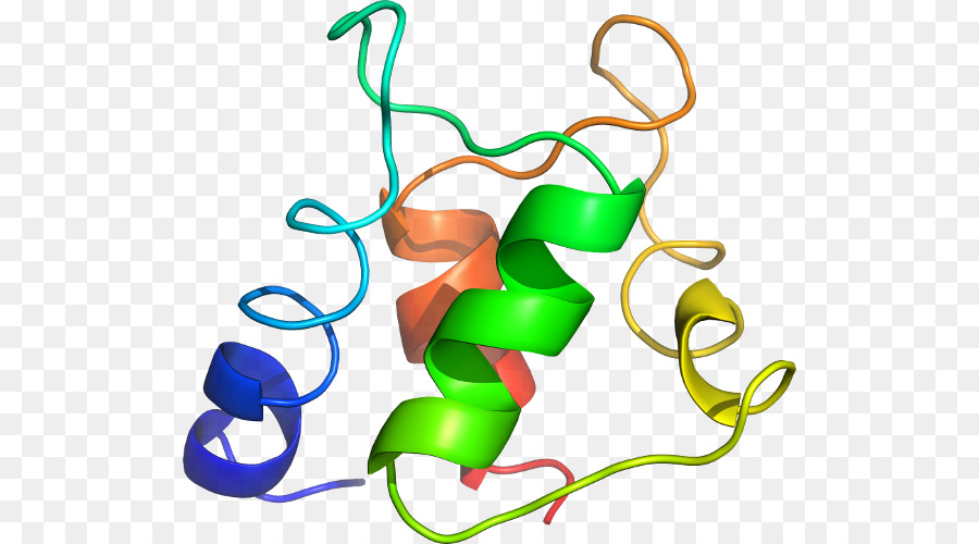 Struktur Protein，Molekul PNG