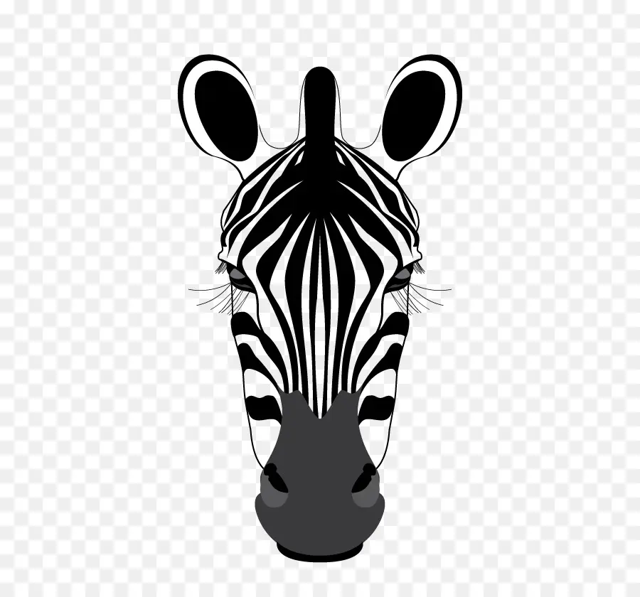 Wajah Zebra，Zebra PNG