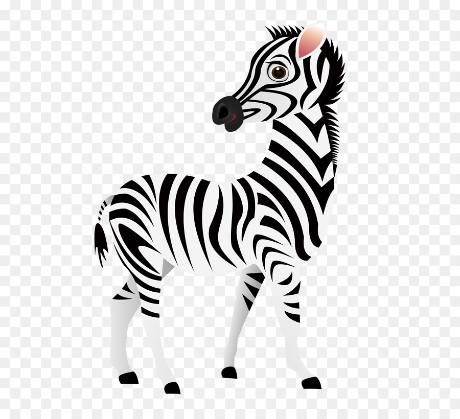 Zebra，Hitam Dan Putih PNG