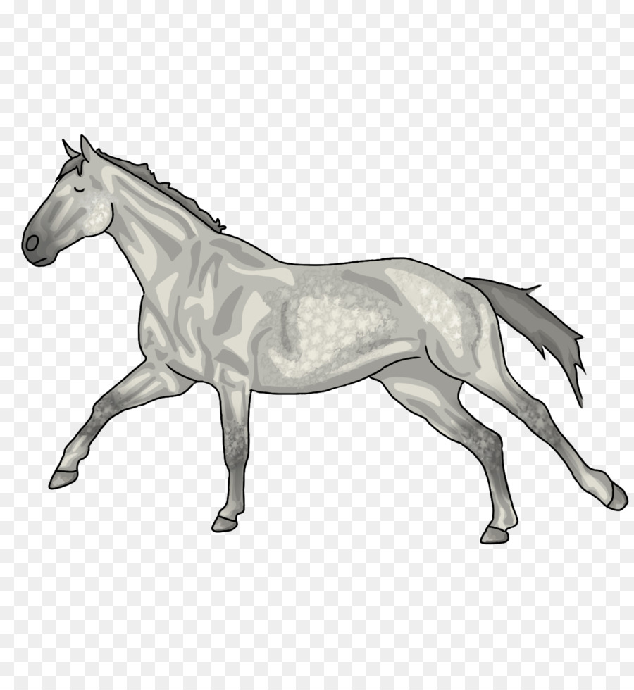 Kuda Surai Mustang gambar png