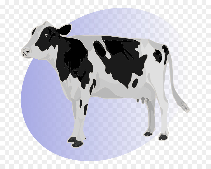 Holstein Friesian Ternak，Fotografi Saham PNG