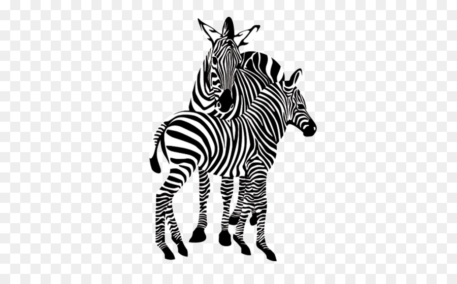 Zebra，Hewan PNG