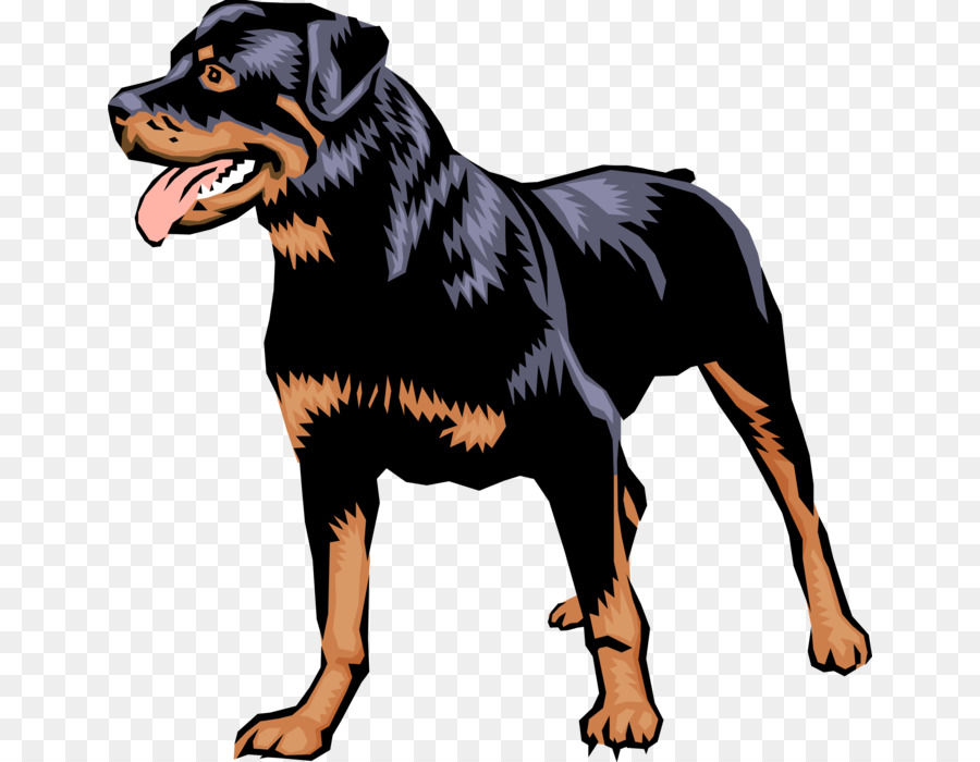 Anjing Rottweiler，Peliharaan PNG