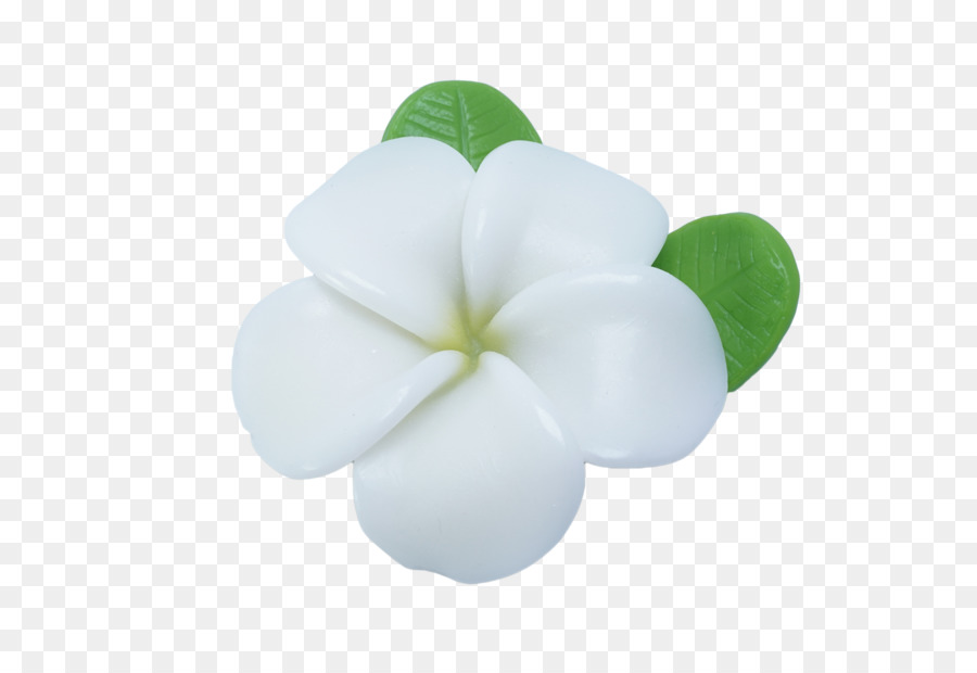 Bunga Plumeria，Mekar PNG