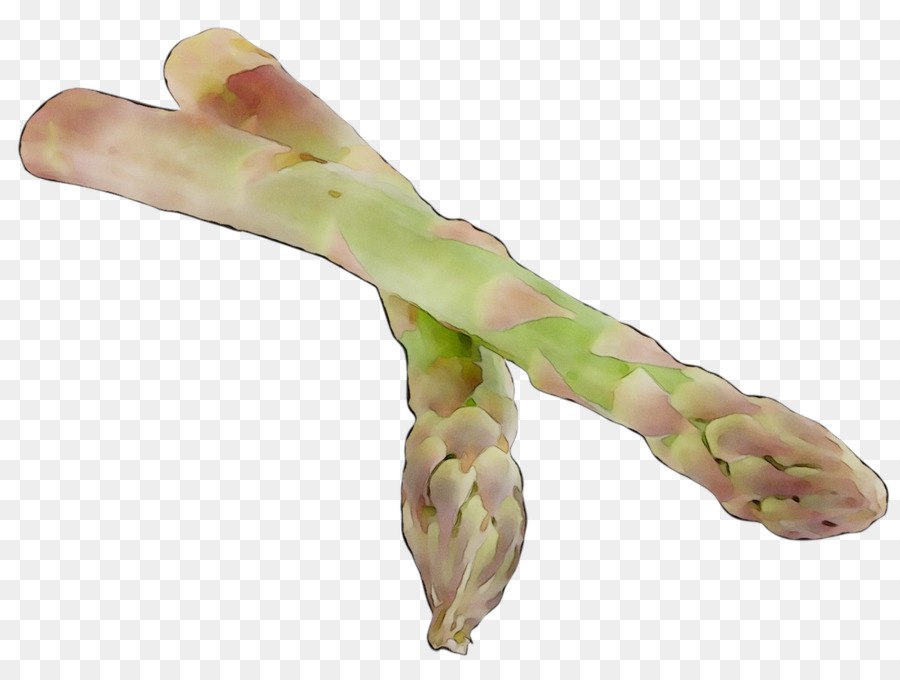 Jari，Asparagus PNG