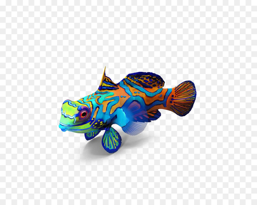 Mandarinfish，Ikan PNG