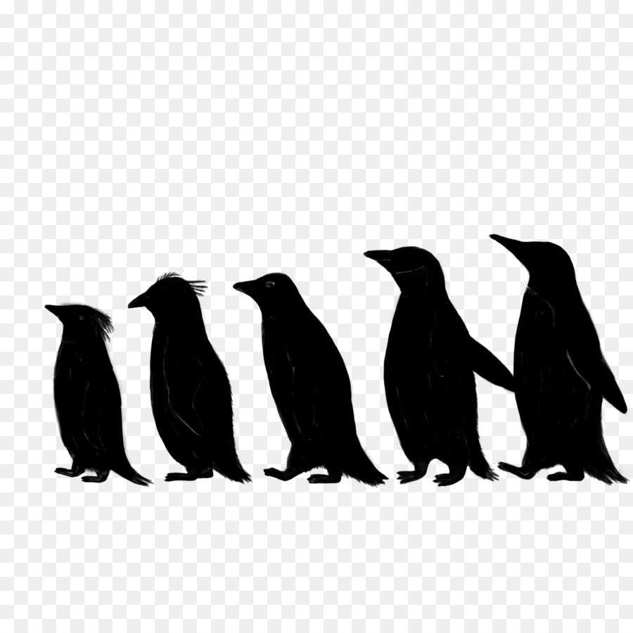 Penguin，Fauna PNG