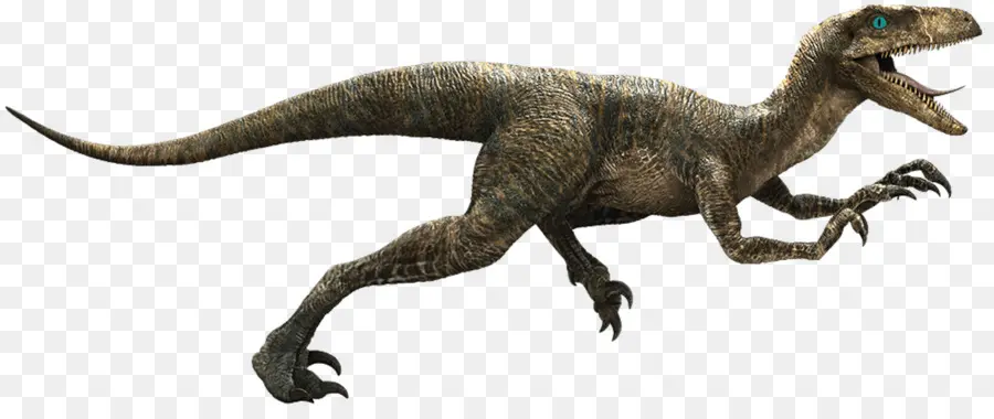 Dinosaurus，Reptil PNG