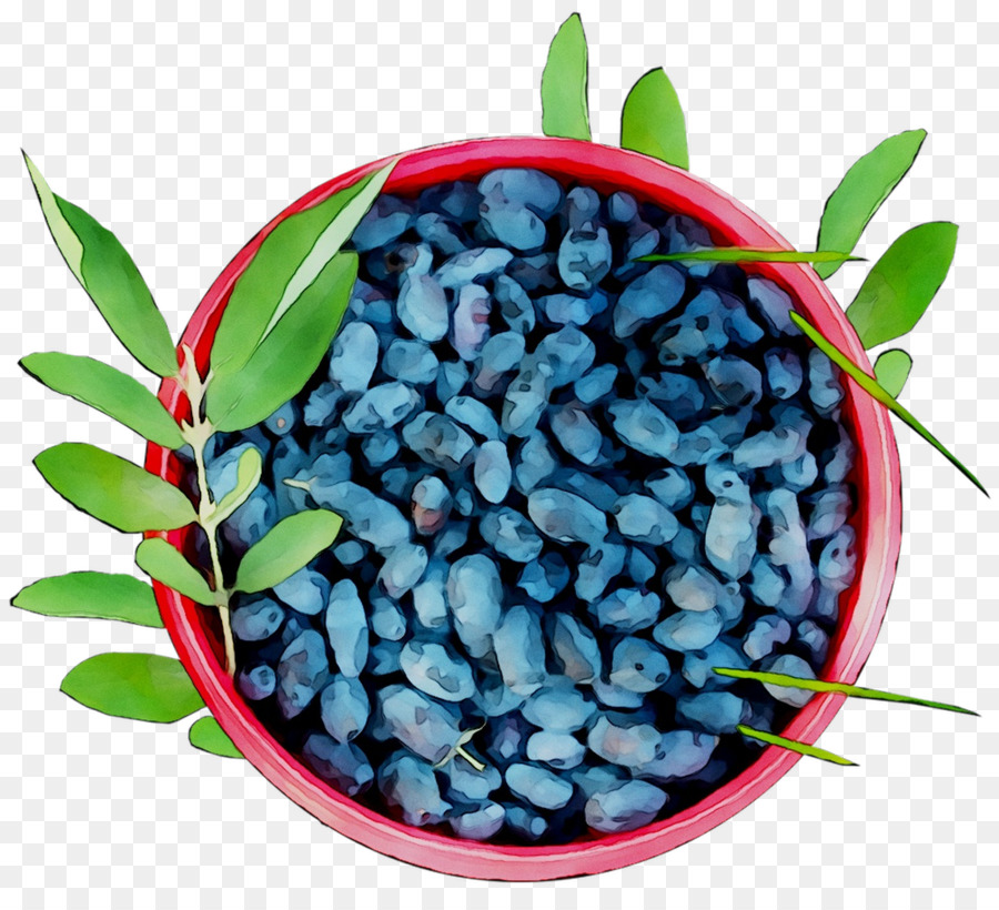 Bilberry，Blueberry PNG