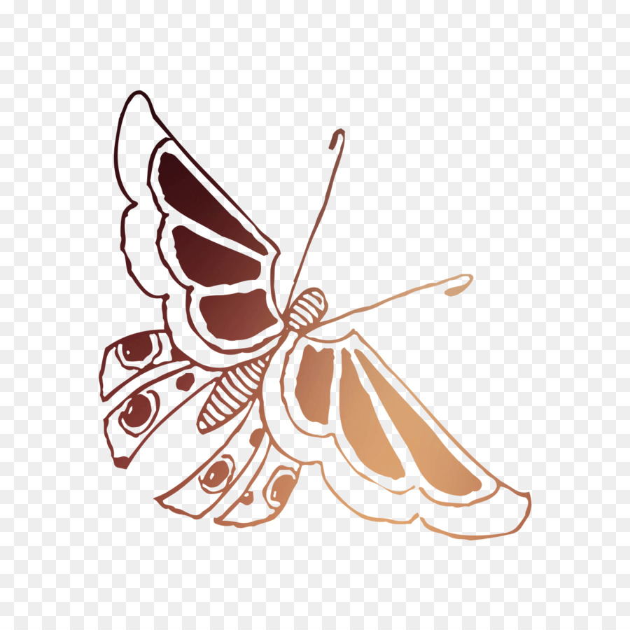 Kupu Kupu Monarch，Brushfooted Kupu Kupu PNG