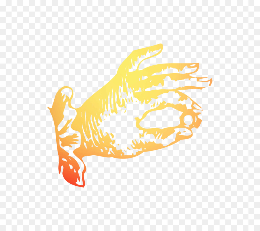 Kuning，Orange PNG