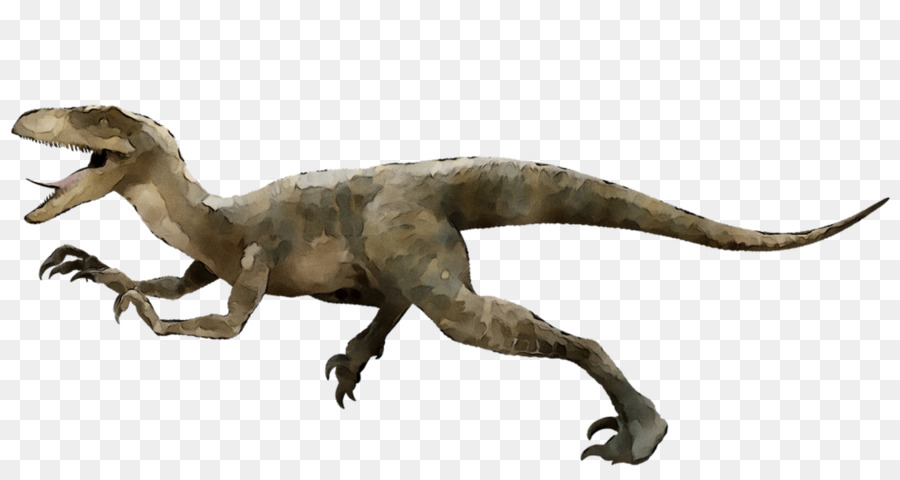 Dinosaurus，Reptil PNG