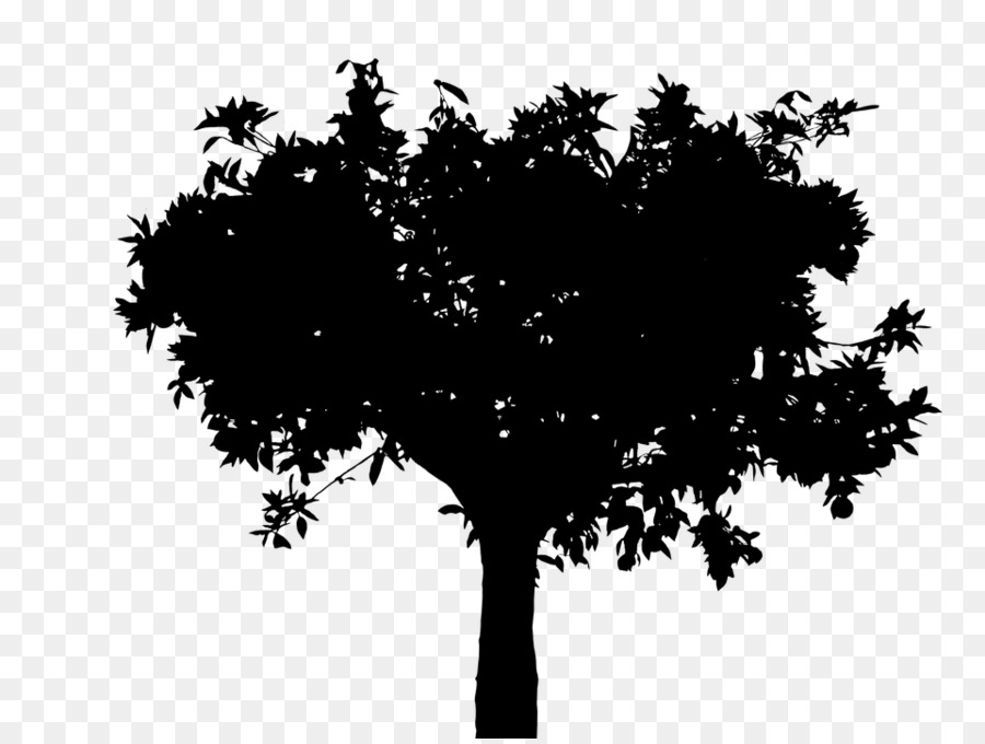  Siluet Pohon  Ranting gambar png