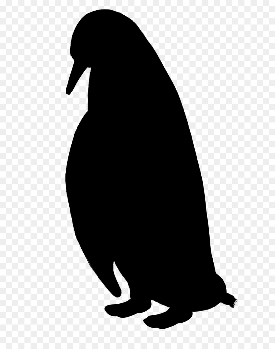 Penguin，Fauna PNG