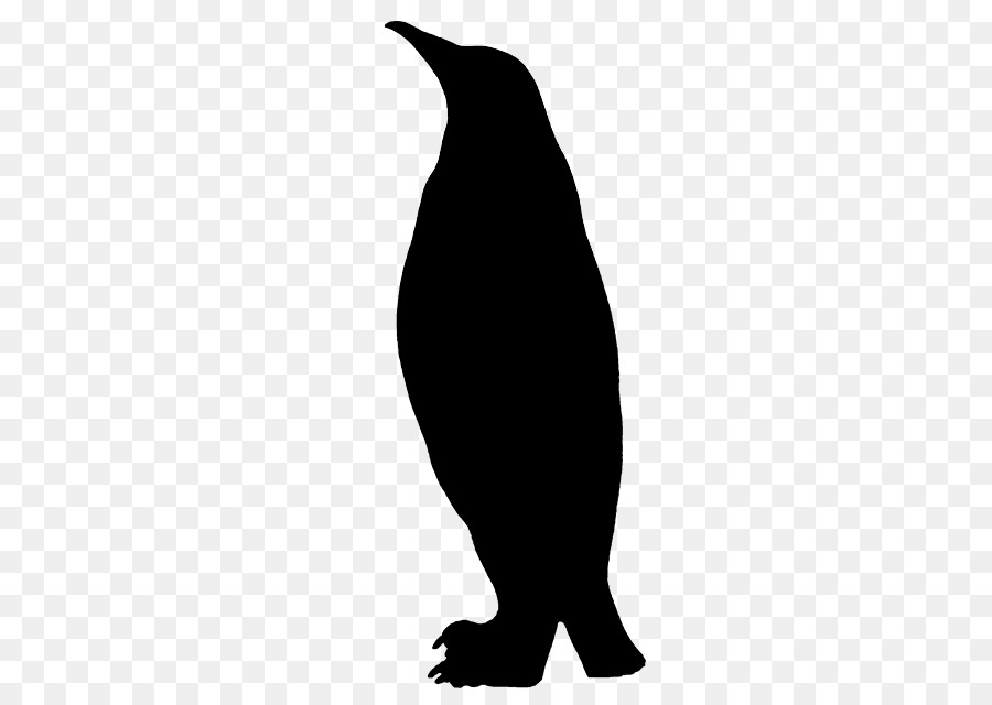 Penguin，Fauna PNG