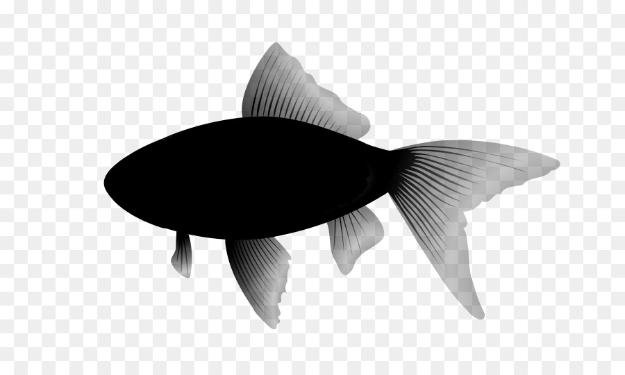 Ikan，Gambar V2 PNG