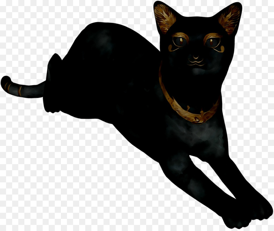 Kucing Hitam，Hewan PNG