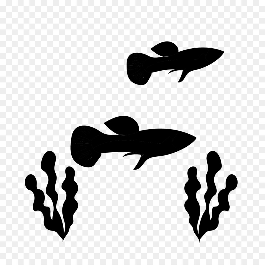 Guppy，Ikan PNG