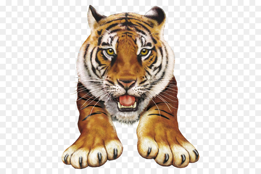 Maskot Harimau，Harimau PNG