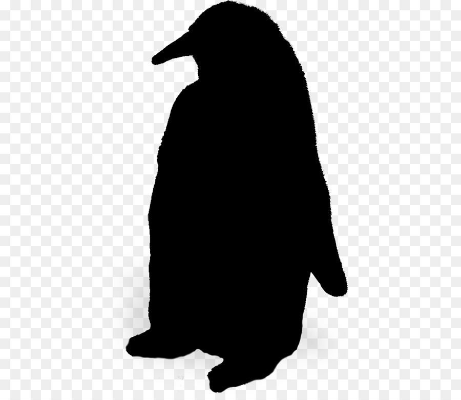 Penguin，Siluet PNG