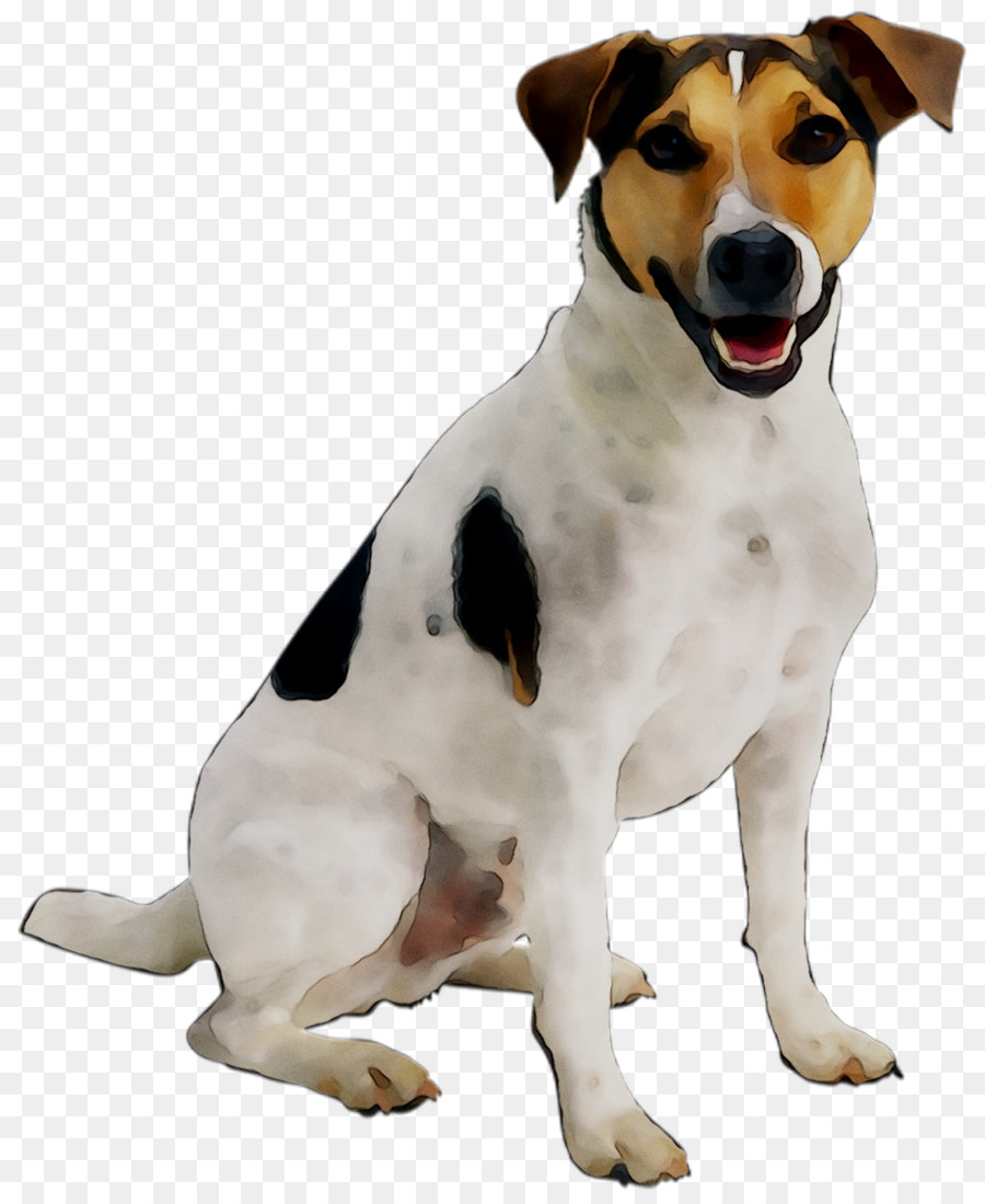 Anjing，Peliharaan PNG