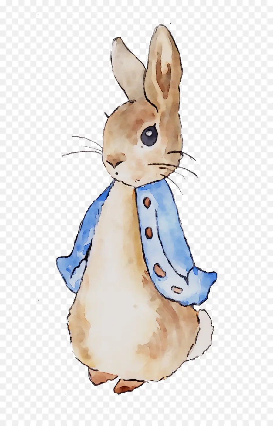 Peter Rabbit，Kelinci Domestik PNG