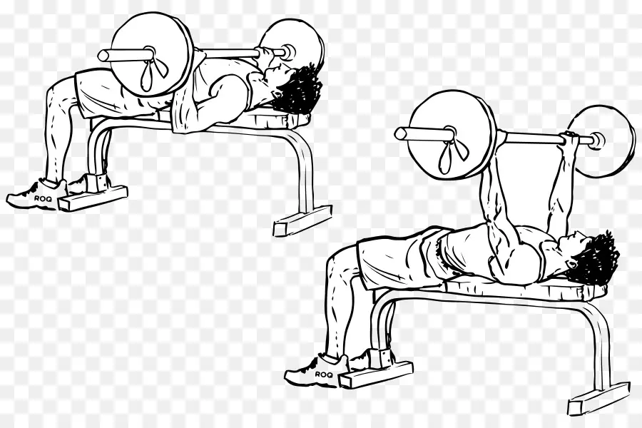 Latihan Bench Press，Angkat Besi PNG