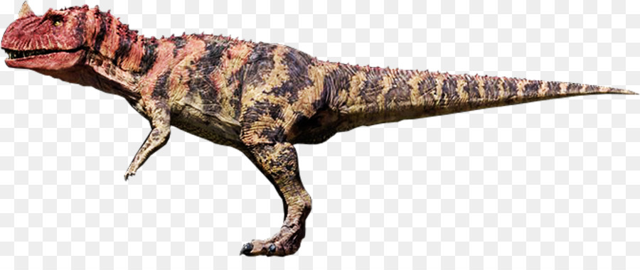 Dinosaurus，Prasejarah PNG