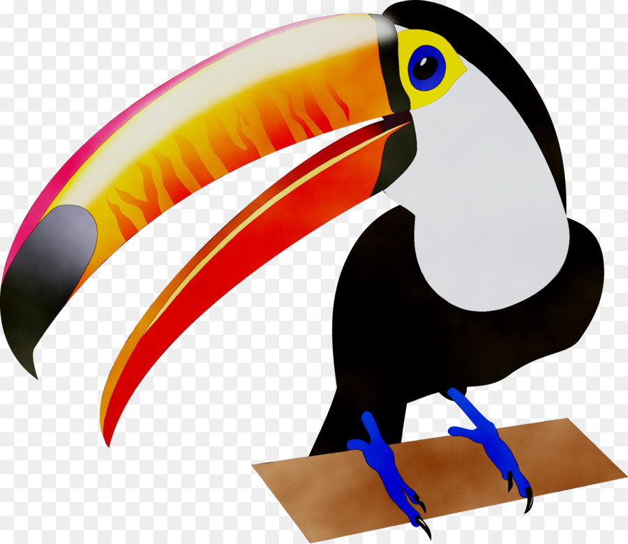 Burung Toucan，Burung PNG