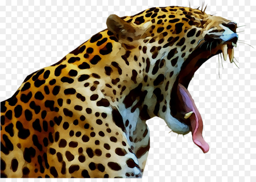 Gambar Hewan Jaguar - Gambar Hewan