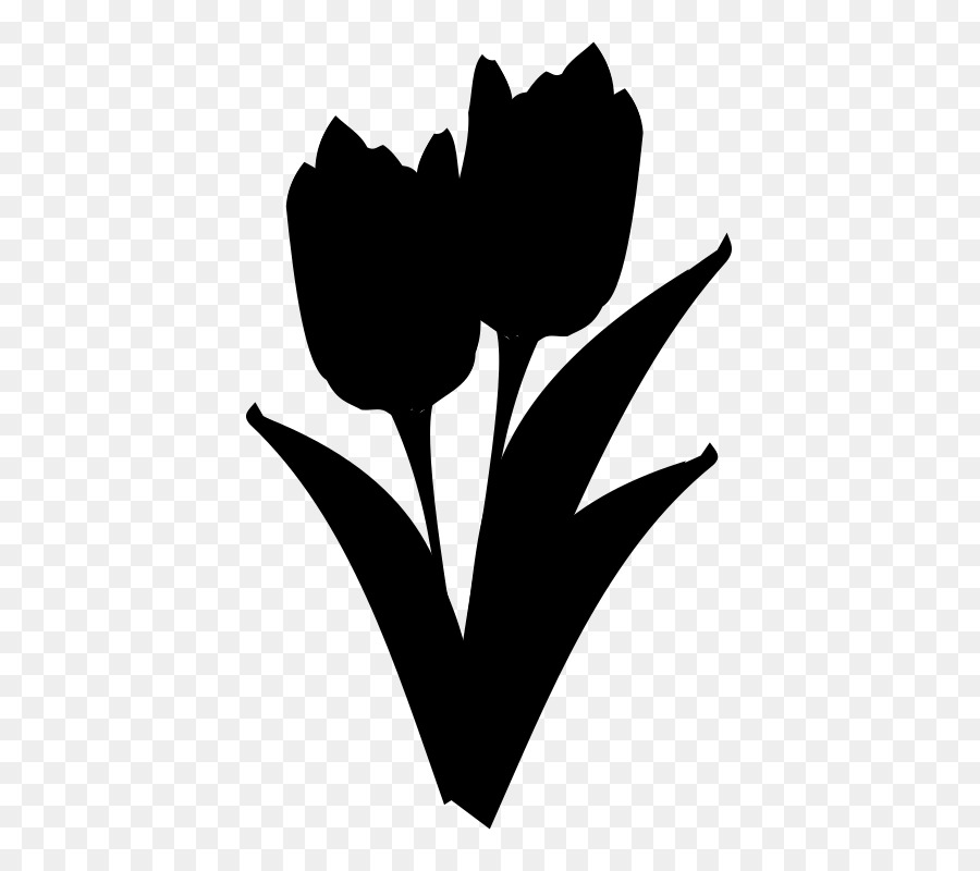Tulip，Keluarga Mawar PNG