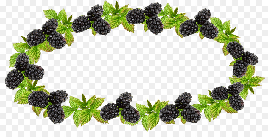 Buah，Blackberry PNG