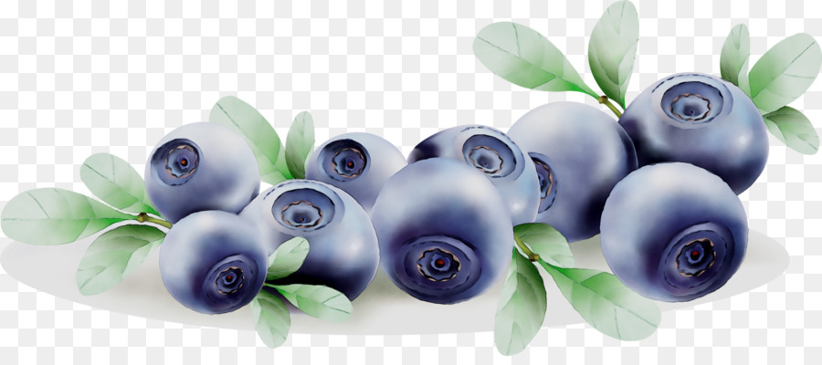 Blueberry，Buah Beri PNG