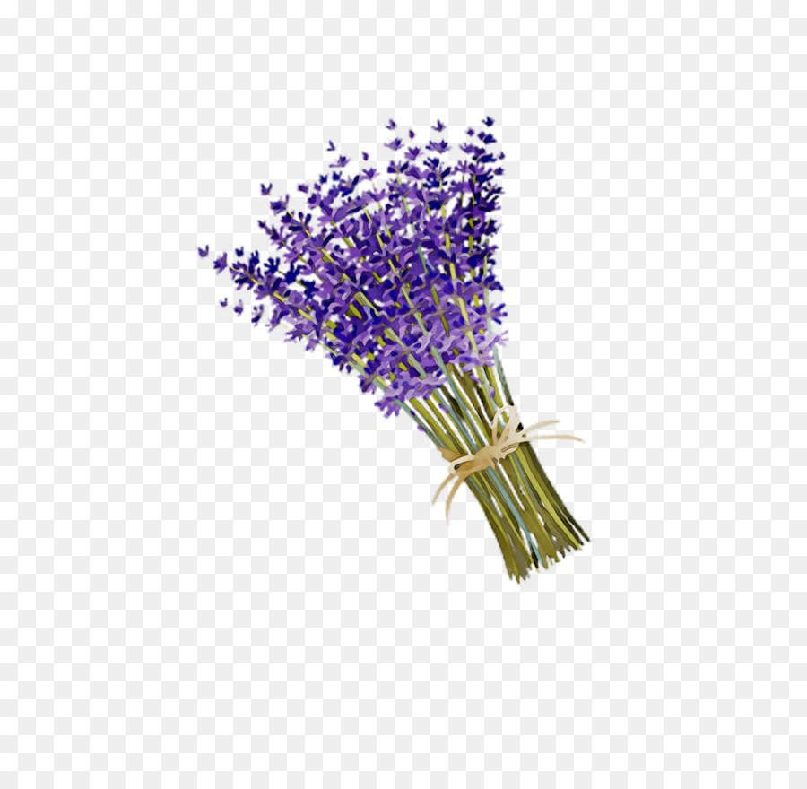 Buket Lavender，Ungu PNG