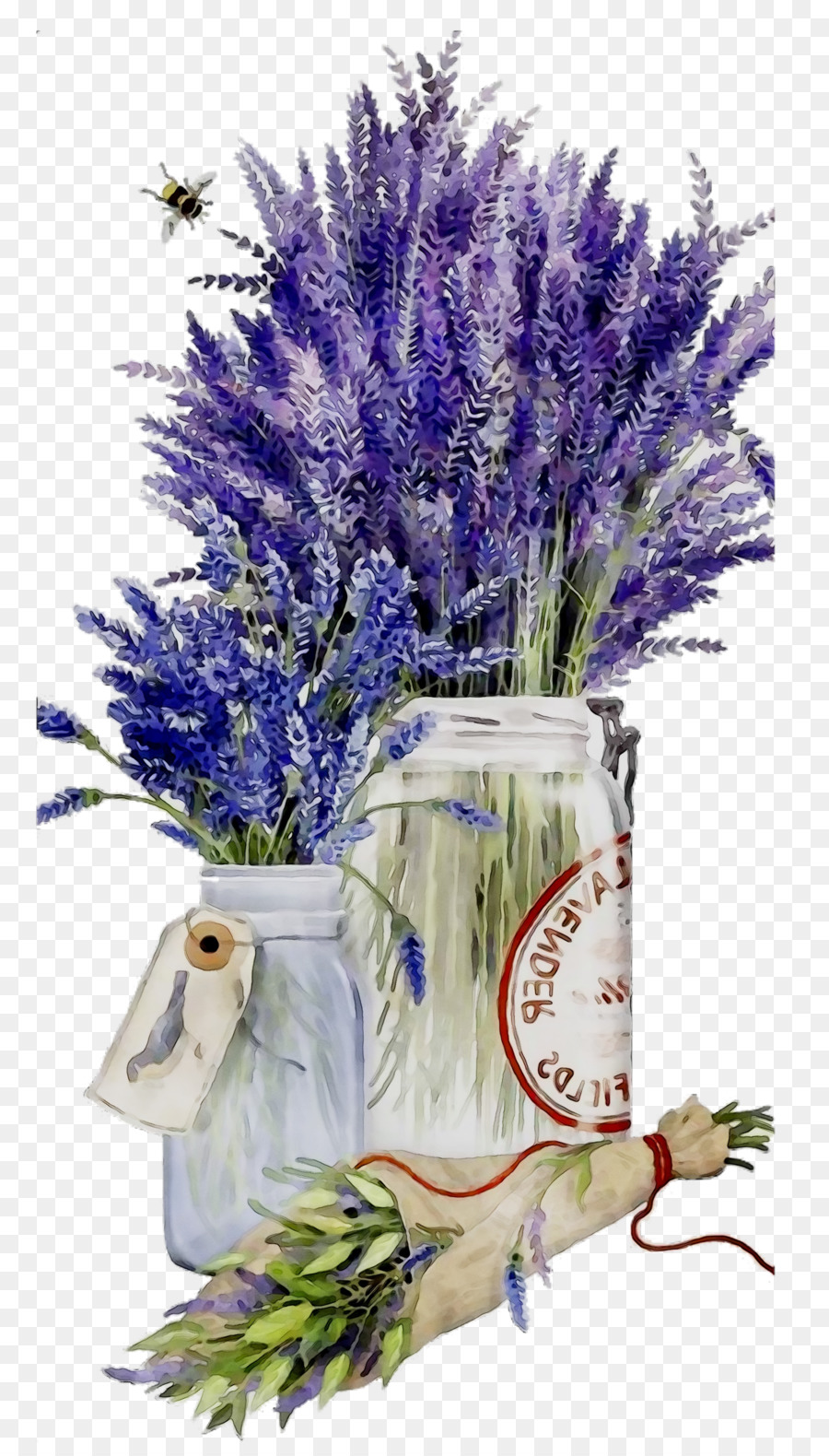 Lavender，Kertas PNG