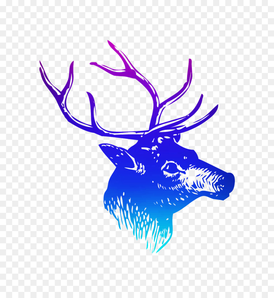 Rusa，Elk PNG