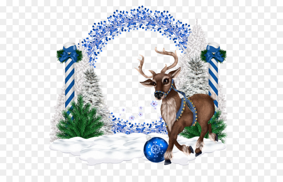 Rusa，Hari Natal PNG