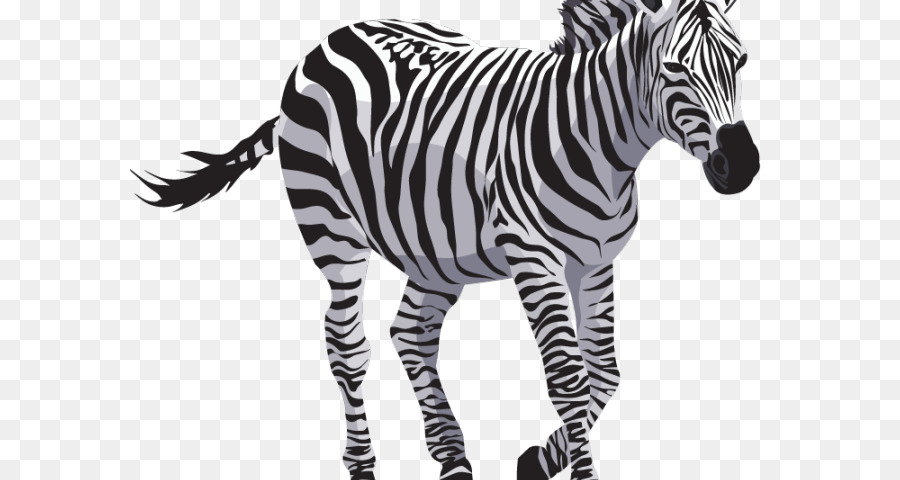 Zebra，Quagga PNG