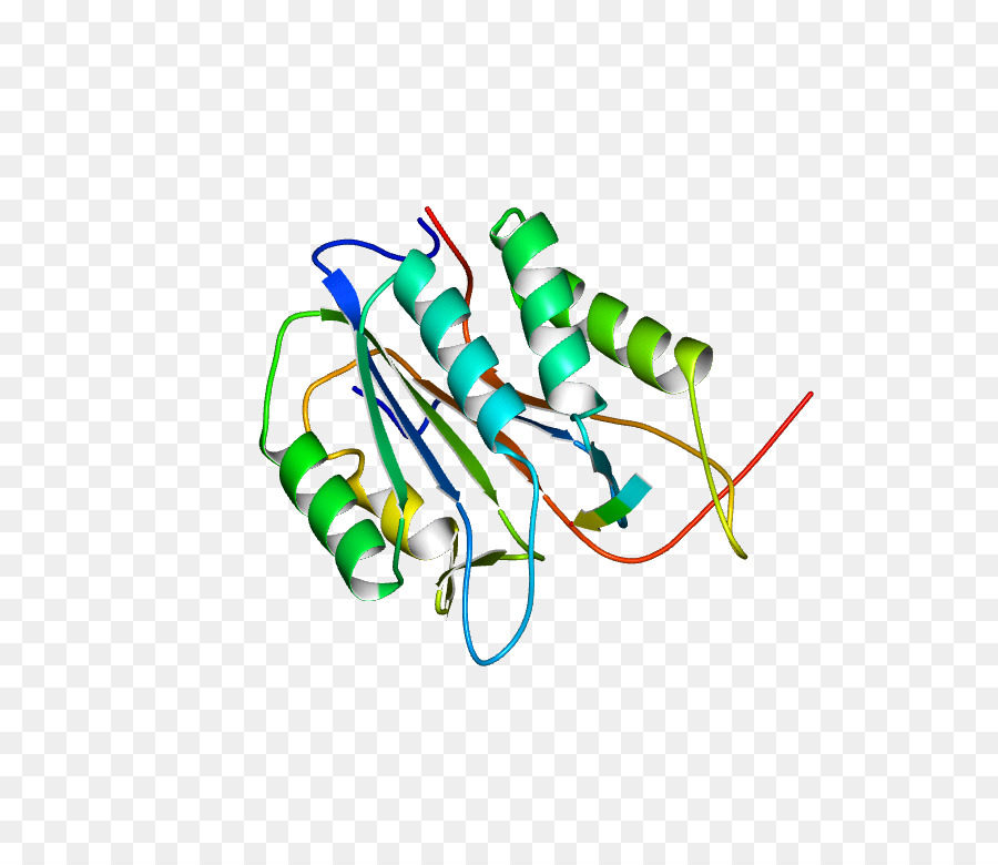 Struktur Protein，Molekul PNG