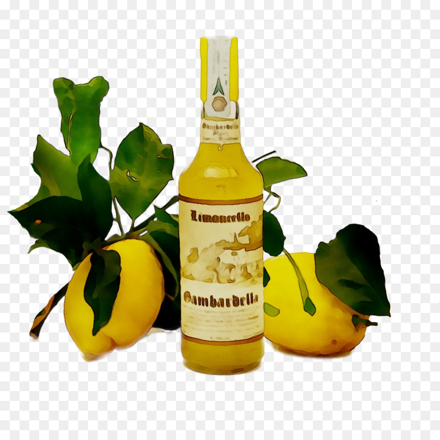 Botol Limoncello，Jeruk Nipis PNG