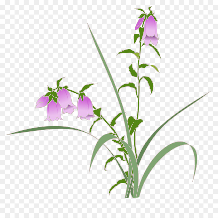 Melihat Bellflower，Thumbnail PNG