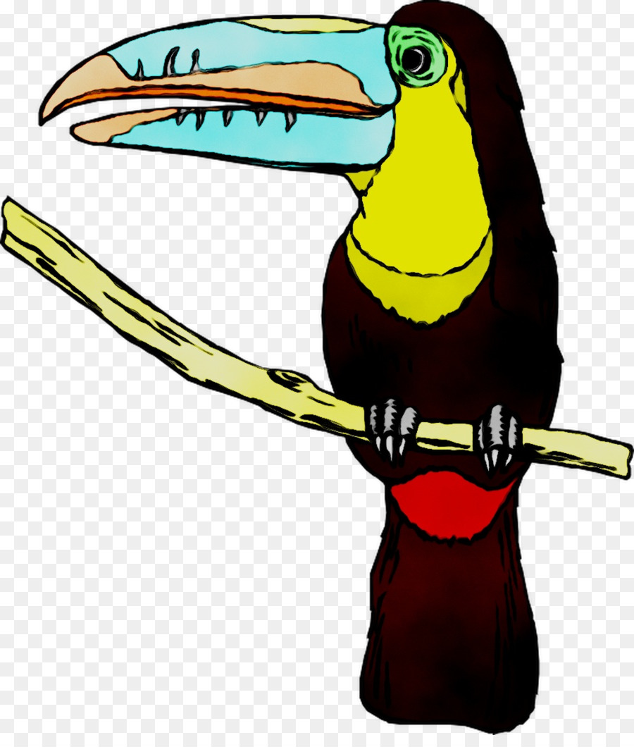 Toucan，Paruh PNG