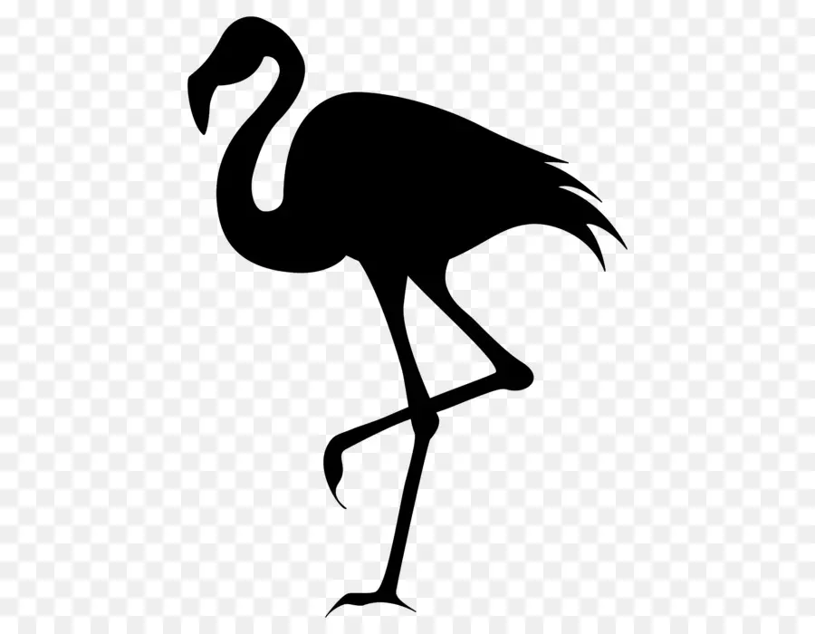 Siluet Flamingo Hitam，Flamingo PNG