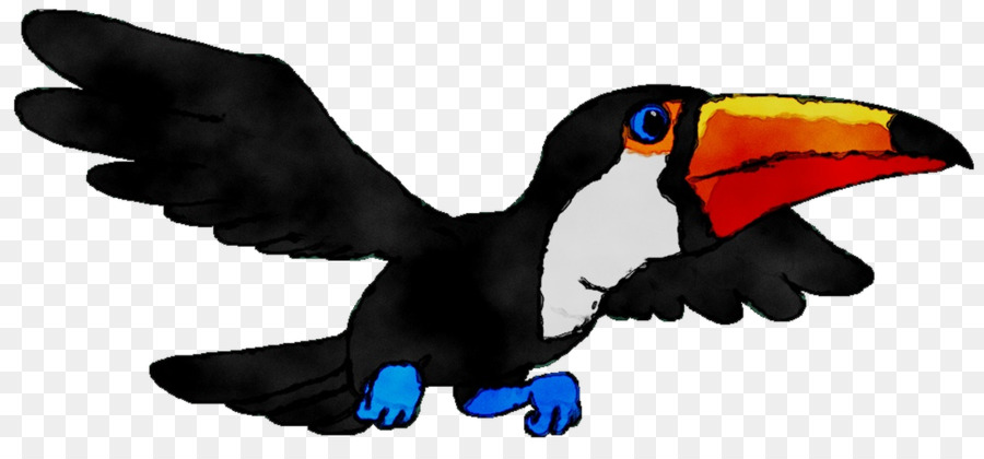 Toucan，Paruh PNG