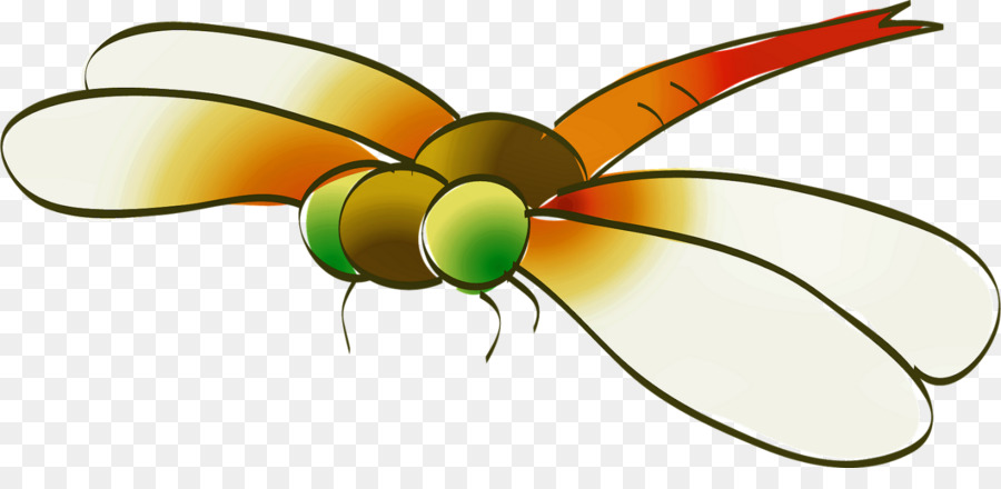 Terbang，Kumbang PNG