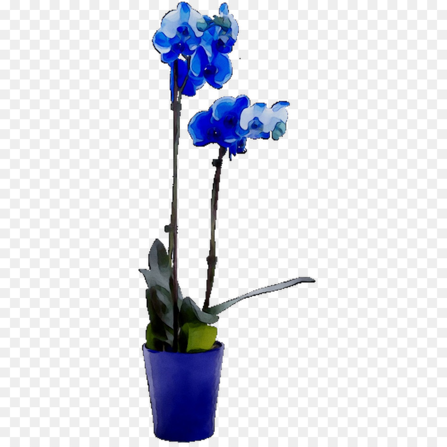 Синяя орхидея в горшке. Орхидея Дендробиум синяя. Орхидея фаленопсис Блу. Орхидея Дендробиум синяя в горшке. Голубая Орхидея в горшке.