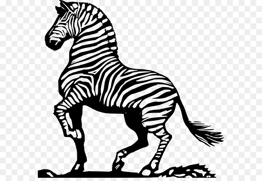 Zebra，Garis Garis PNG