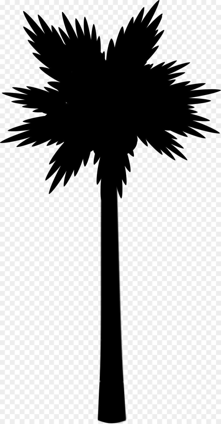 Asia Palmyra Palm，Ikon Komputer PNG